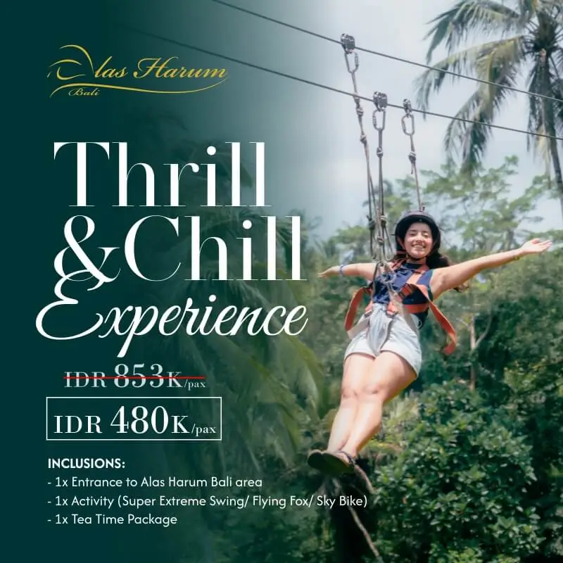 Thrill and Chill Experience