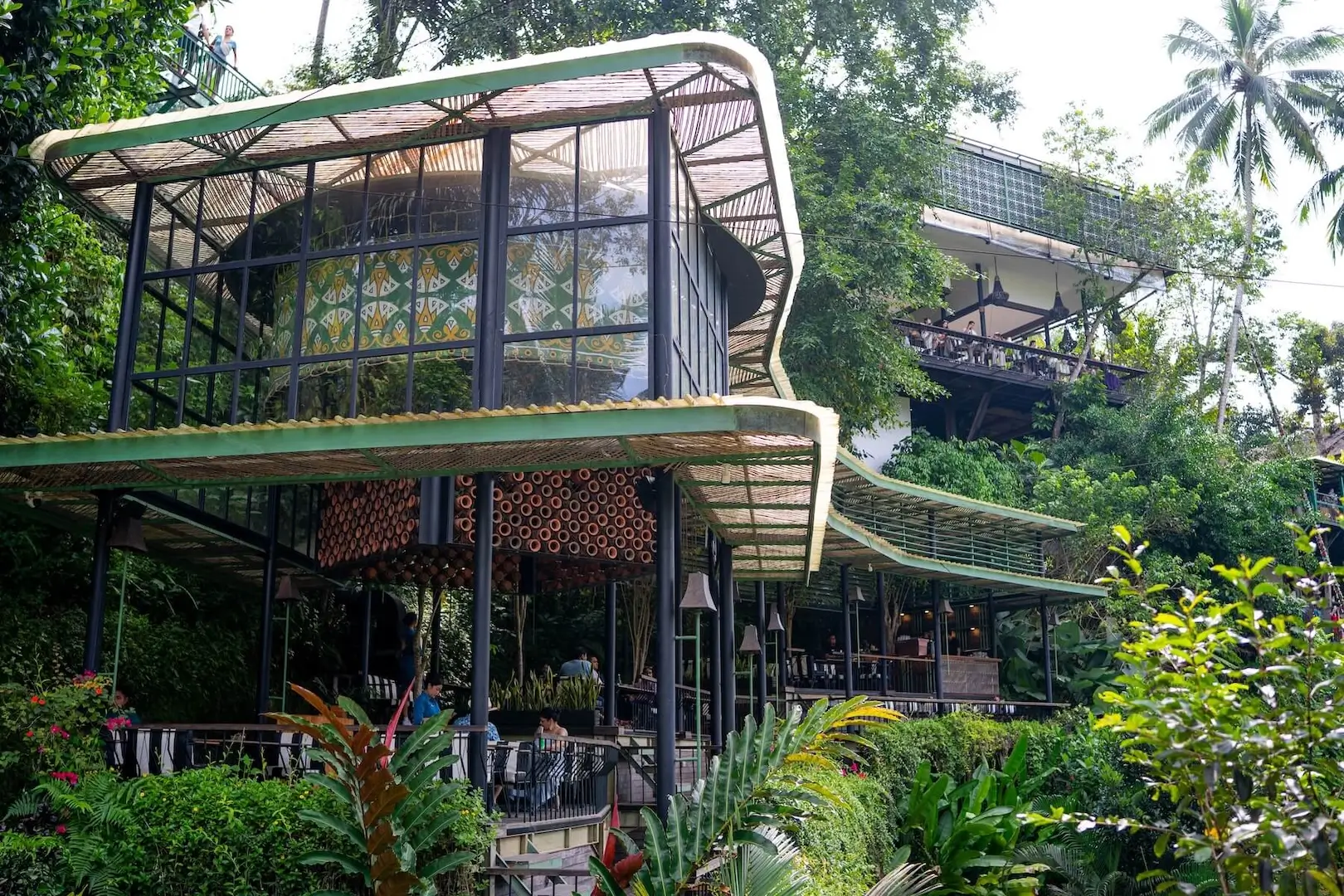 Cretya Jungle Lite